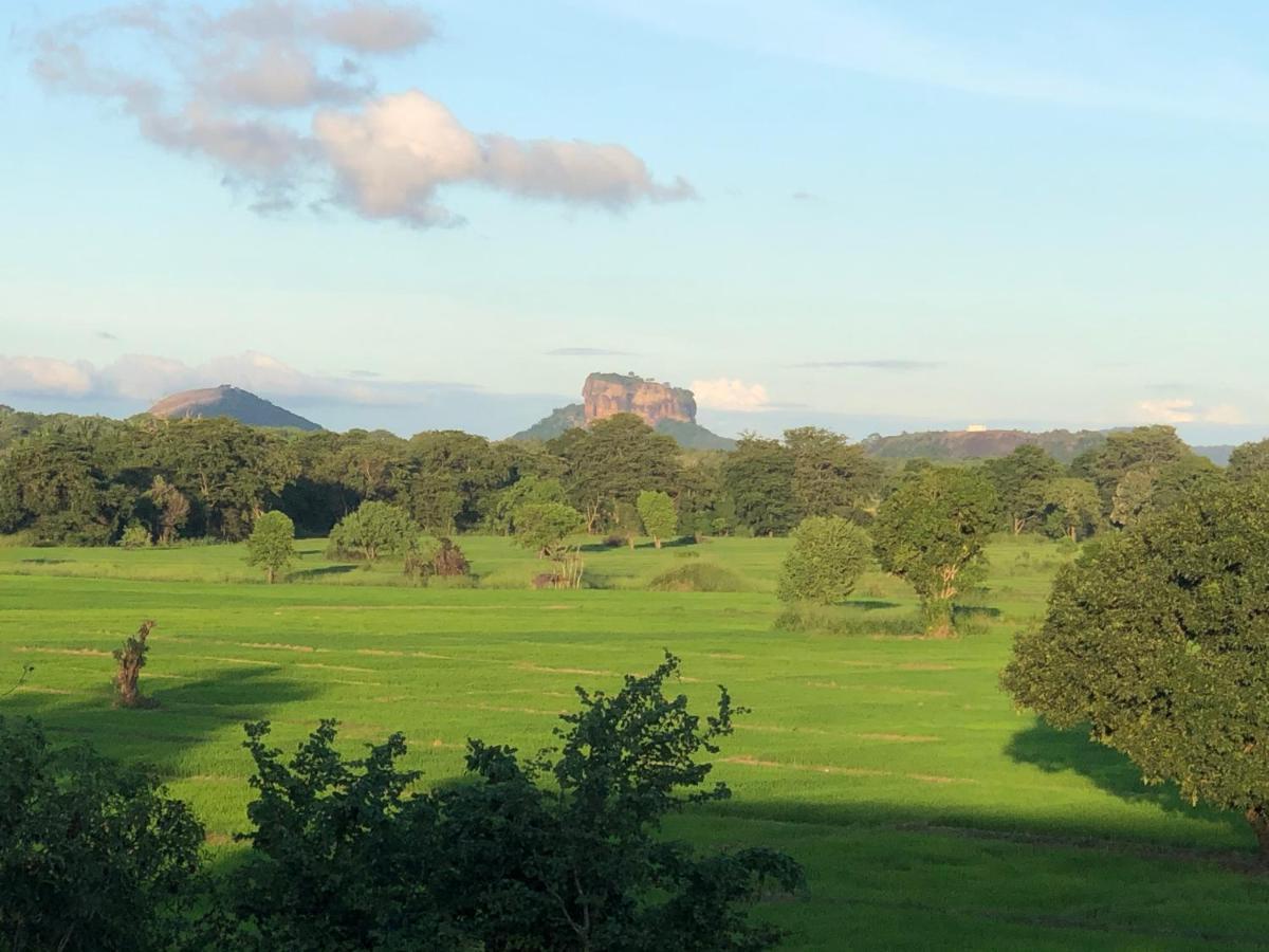 Atteriya Sigiriya Ξενοδοχείο Εξωτερικό φωτογραφία
