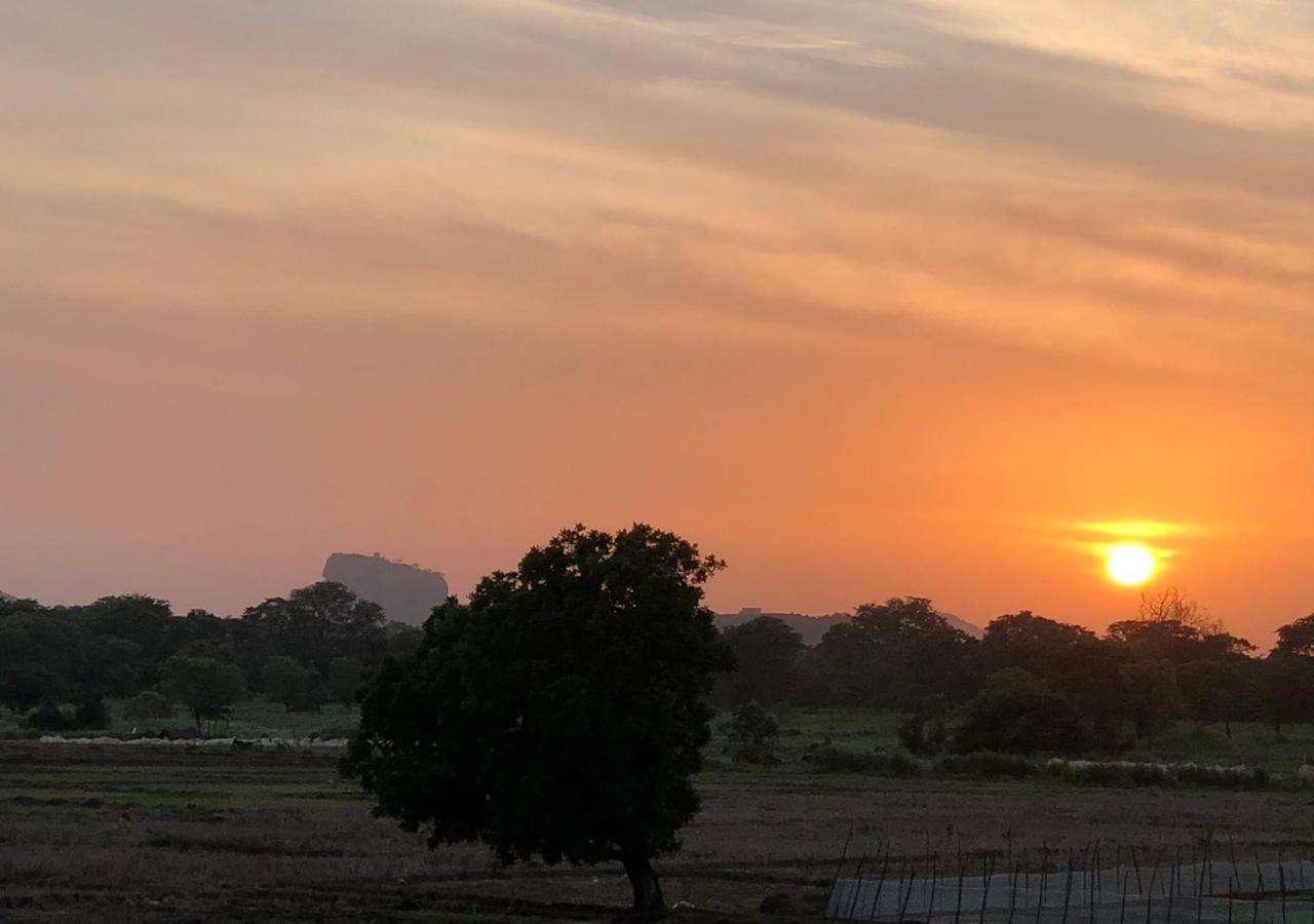 Atteriya Sigiriya Ξενοδοχείο Εξωτερικό φωτογραφία